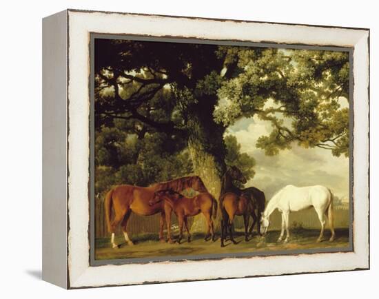 Green Pastures-George Stubbs-Framed Stretched Canvas