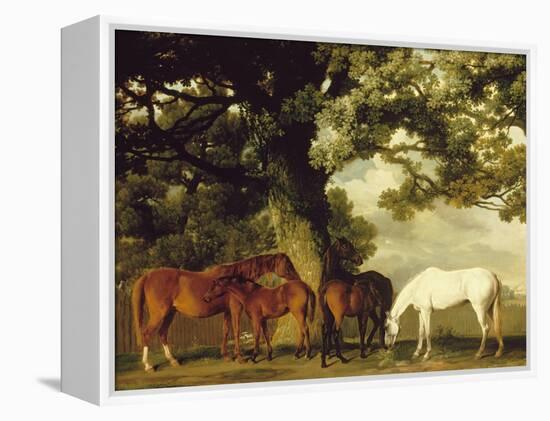 Green Pastures-George Stubbs-Framed Stretched Canvas