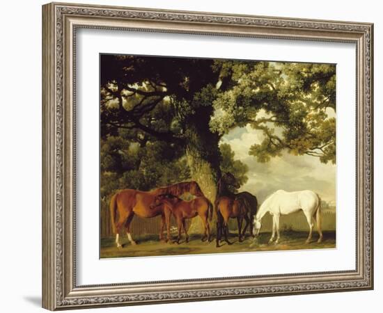 Green Pastures-George Stubbs-Framed Art Print