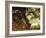 Green Pastures-George Stubbs-Framed Art Print