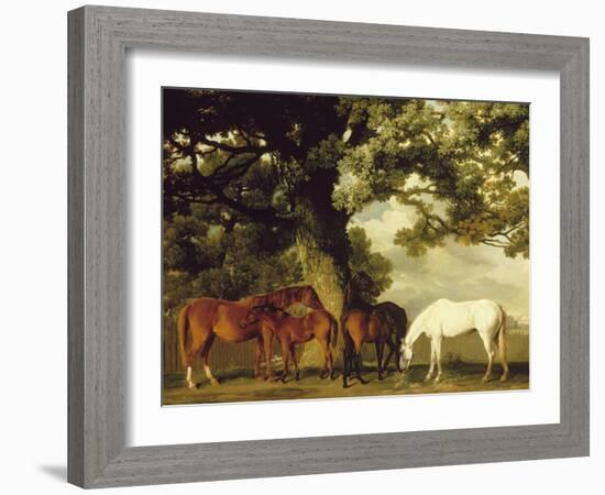 Green Pastures-George Stubbs-Framed Art Print