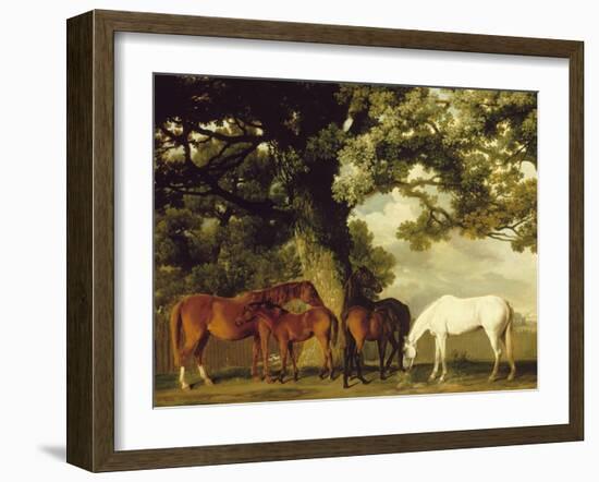 Green Pastures-George Stubbs-Framed Art Print