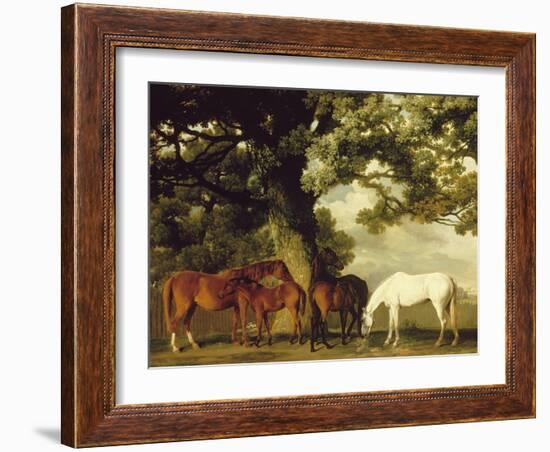 Green Pastures-George Stubbs-Framed Art Print