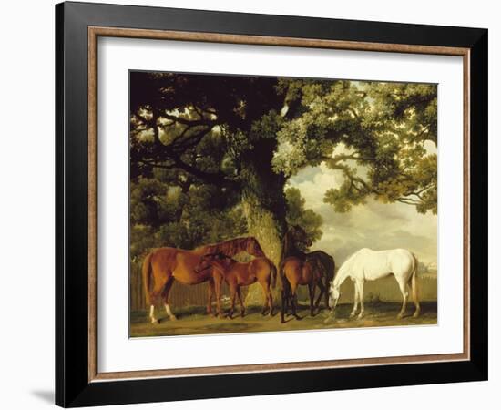 Green Pastures-George Stubbs-Framed Art Print