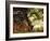 Green Pastures-George Stubbs-Framed Art Print