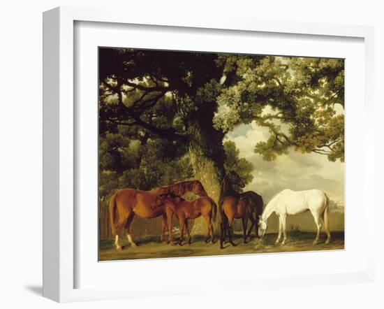 Green Pastures-George Stubbs-Framed Art Print