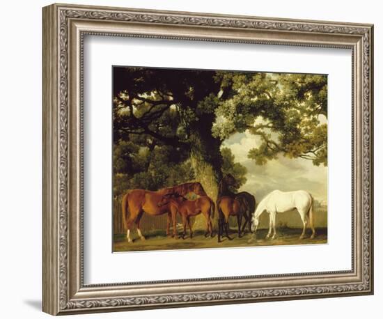 Green Pastures-George Stubbs-Framed Art Print