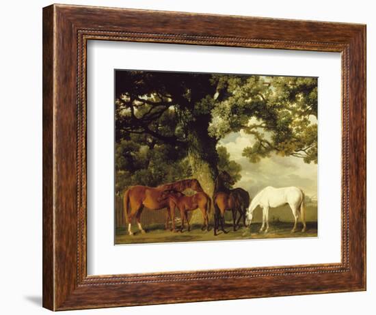 Green Pastures-George Stubbs-Framed Art Print