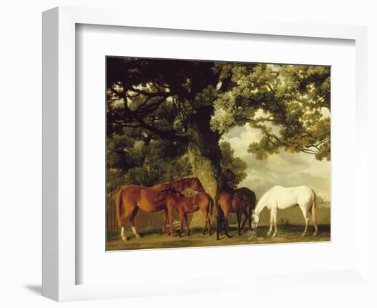 Green Pastures-George Stubbs-Framed Art Print