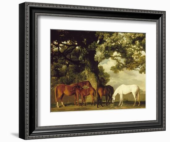 Green Pastures-George Stubbs-Framed Art Print