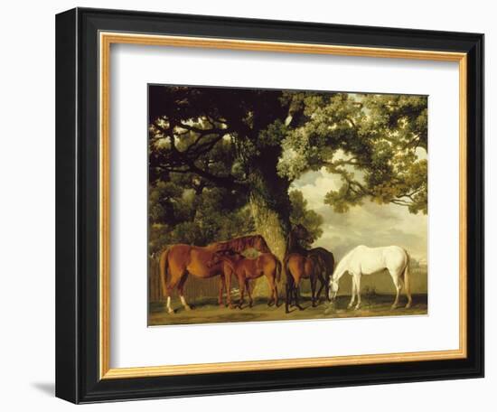 Green Pastures-George Stubbs-Framed Art Print