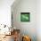 Green Patch-Sydney Edmunds-Giclee Print displayed on a wall