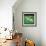 Green Patch-Sydney Edmunds-Framed Giclee Print displayed on a wall