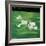 Green Patch-Sydney Edmunds-Framed Giclee Print