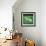 Green Patch-Sydney Edmunds-Framed Giclee Print displayed on a wall