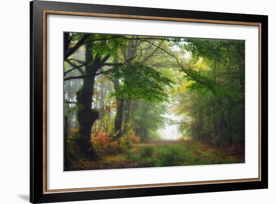 Green Peace-Viviane Fedieu Daniel-Framed Photographic Print