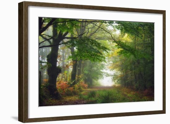 Green Peace-Viviane Fedieu Daniel-Framed Photographic Print