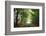 Green Peace-Viviane Fedieu Daniel-Framed Photographic Print