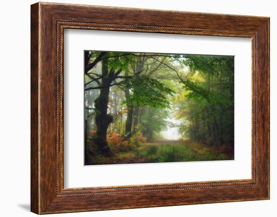 Green Peace-Viviane Fedieu Daniel-Framed Photographic Print