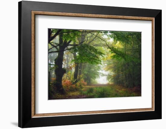 Green Peace-Viviane Fedieu Daniel-Framed Photographic Print