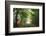 Green Peace-Viviane Fedieu Daniel-Framed Photographic Print