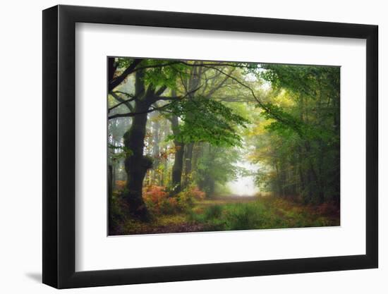 Green Peace-Viviane Fedieu Daniel-Framed Photographic Print