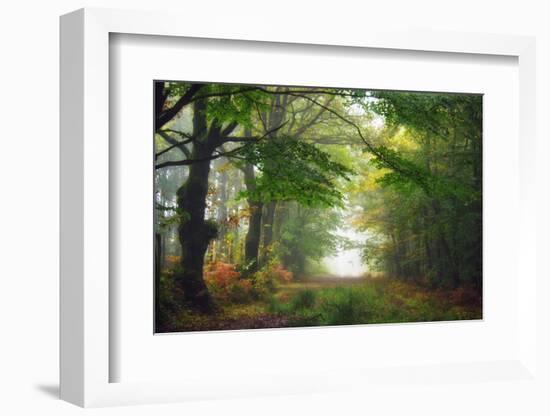 Green Peace-Viviane Fedieu Daniel-Framed Photographic Print