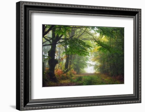 Green Peace-Viviane Fedieu Daniel-Framed Photographic Print