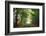 Green Peace-Viviane Fedieu Daniel-Framed Photographic Print