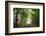 Green Peace-Viviane Fedieu Daniel-Framed Photographic Print