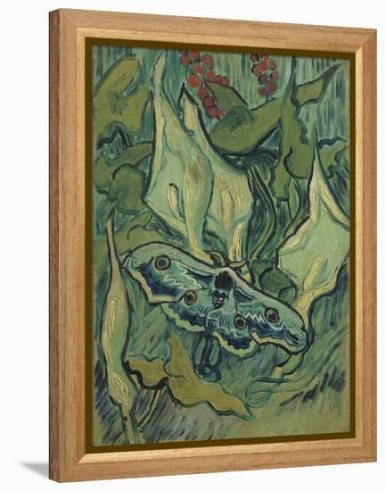 Green Peacock Moth (The Emperor Mot), 1889-Vincent van Gogh-Framed Premier Image Canvas