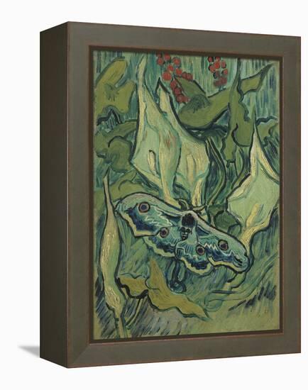 Green Peacock Moth (The Emperor Mot), 1889-Vincent van Gogh-Framed Premier Image Canvas