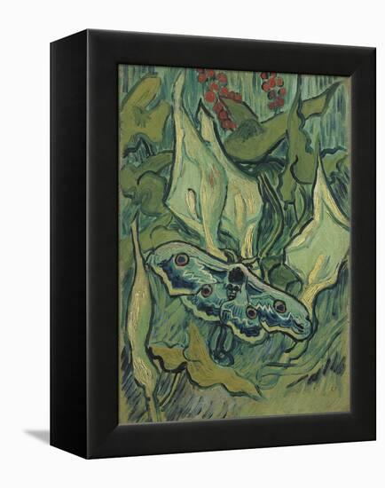 Green Peacock Moth (The Emperor Mot), 1889-Vincent van Gogh-Framed Premier Image Canvas