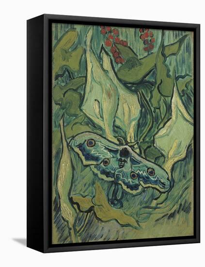 Green Peacock Moth (The Emperor Mot), 1889-Vincent van Gogh-Framed Premier Image Canvas