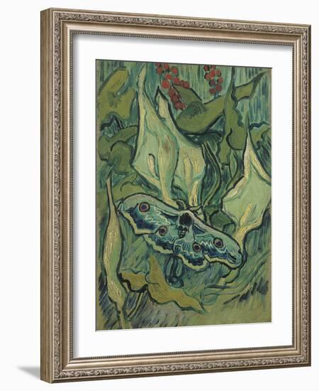 Green Peacock Moth (The Emperor Mot), 1889-Vincent van Gogh-Framed Giclee Print