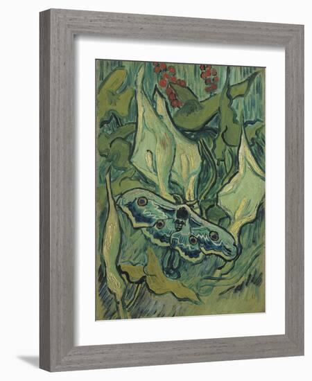 Green Peacock Moth (The Emperor Mot), 1889-Vincent van Gogh-Framed Giclee Print