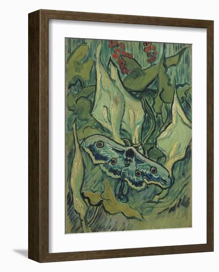 Green Peacock Moth (The Emperor Mot), 1889-Vincent van Gogh-Framed Giclee Print