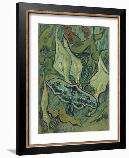 Green Peacock Moth (The Emperor Mot), 1889-Vincent van Gogh-Framed Giclee Print