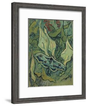 Green Peacock Moth (The Emperor Mot), 1889-Vincent van Gogh-Framed Giclee Print