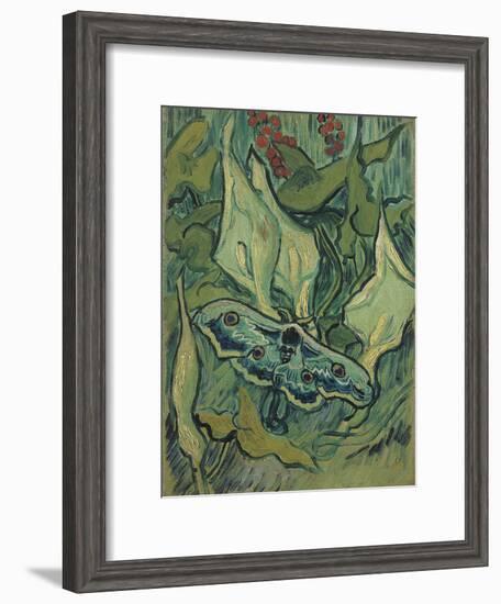 Green Peacock Moth (The Emperor Mot), 1889-Vincent van Gogh-Framed Giclee Print