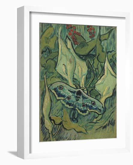 Green Peacock Moth (The Emperor Mot), 1889-Vincent van Gogh-Framed Giclee Print