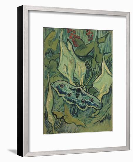 Green Peacock Moth (The Emperor Mot), 1889-Vincent van Gogh-Framed Giclee Print