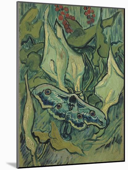 Green Peacock Moth (The Emperor Mot), 1889-Vincent van Gogh-Mounted Giclee Print