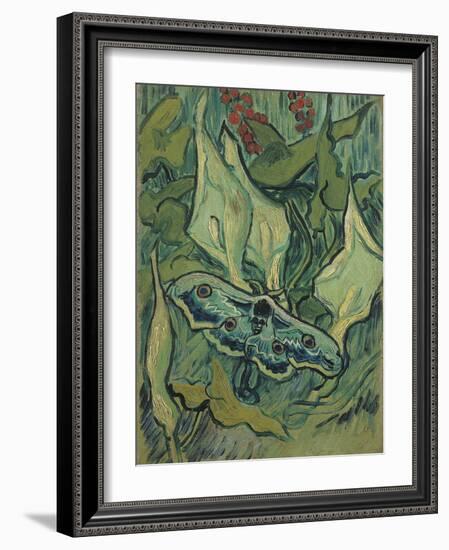 Green Peacock Moth (The Emperor Mot), 1889-Vincent van Gogh-Framed Giclee Print