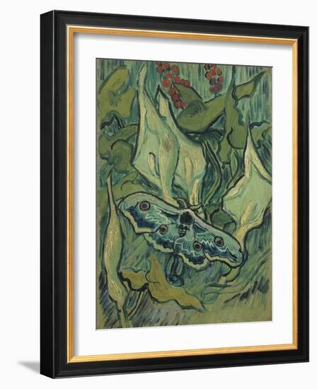 Green Peacock Moth (The Emperor Mot), 1889-Vincent van Gogh-Framed Giclee Print