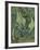 Green Peacock Moth (The Emperor Mot), 1889-Vincent van Gogh-Framed Giclee Print