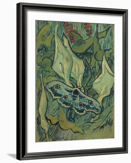 Green Peacock Moth (The Emperor Mot), 1889-Vincent van Gogh-Framed Giclee Print