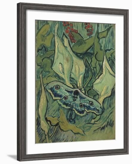 Green Peacock Moth (The Emperor Mot), 1889-Vincent van Gogh-Framed Giclee Print