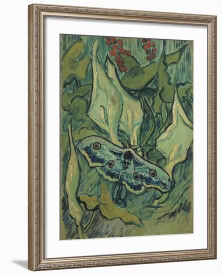 Green Peacock Moth (The Emperor Mot), 1889-Vincent van Gogh-Framed Giclee Print