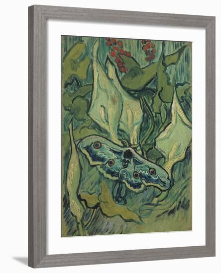 Green Peacock Moth (The Emperor Mot), 1889-Vincent van Gogh-Framed Giclee Print